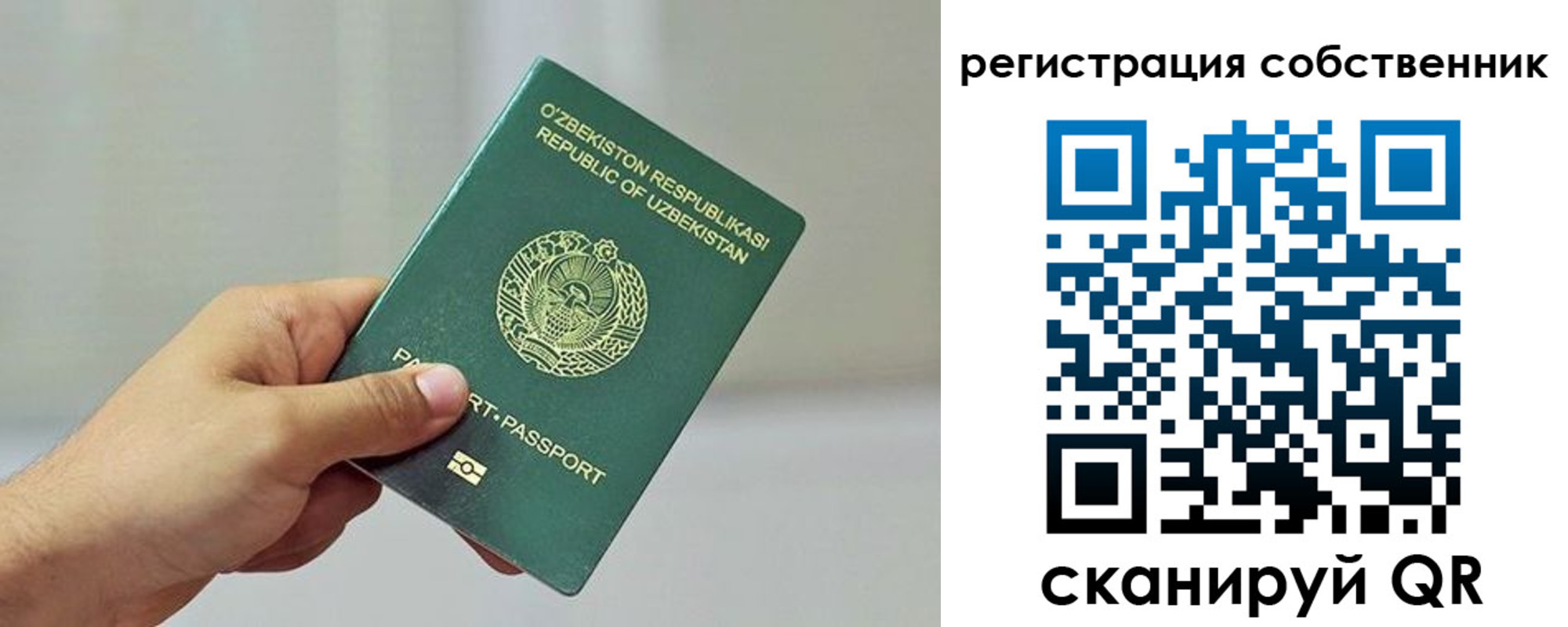 прописка поиск в Реутове